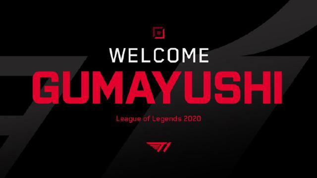 职业生涯似 职业生涯似